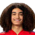 https://img.shihuihuizhuanyao.com/img/football/player/87359ed9061cfd73513d827263deebcd.png