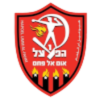 https://img.shihuihuizhuanyao.com/img/football/team/0db06bd7ec6e2d578b836885d675b6d1.png