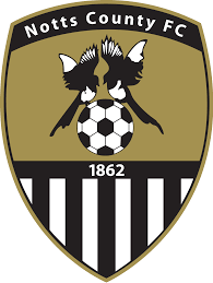 https://img.shihuihuizhuanyao.com/img/football/team/9e230c89a846b9cadf91884918fa7611.png